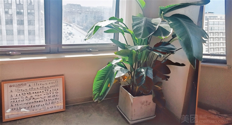 迪·瑜伽私教工作室的图标