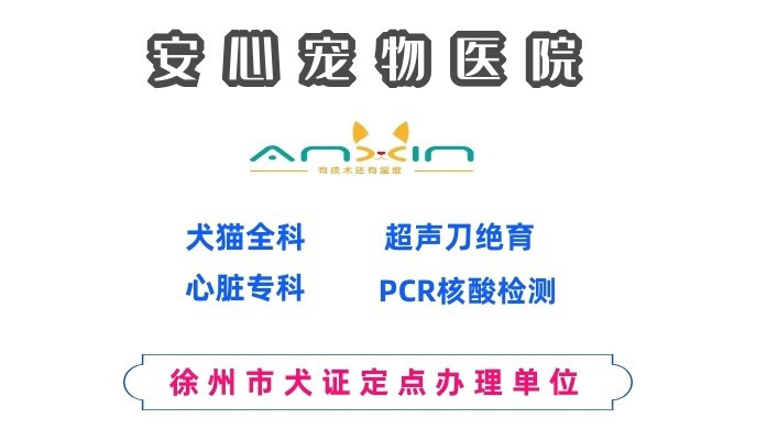 安心宠物医院（猫专科医院）（铜山万达店）的图标