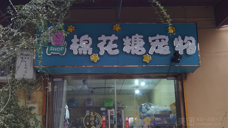 棉花糖宠物